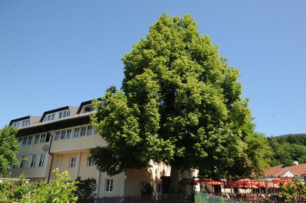 Gasthof Bacher Hotel Villach Esterno foto